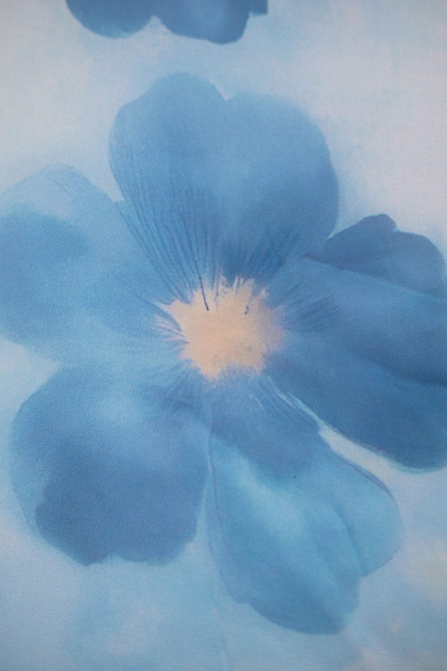 Azure Petal Tabby Printed Fabric