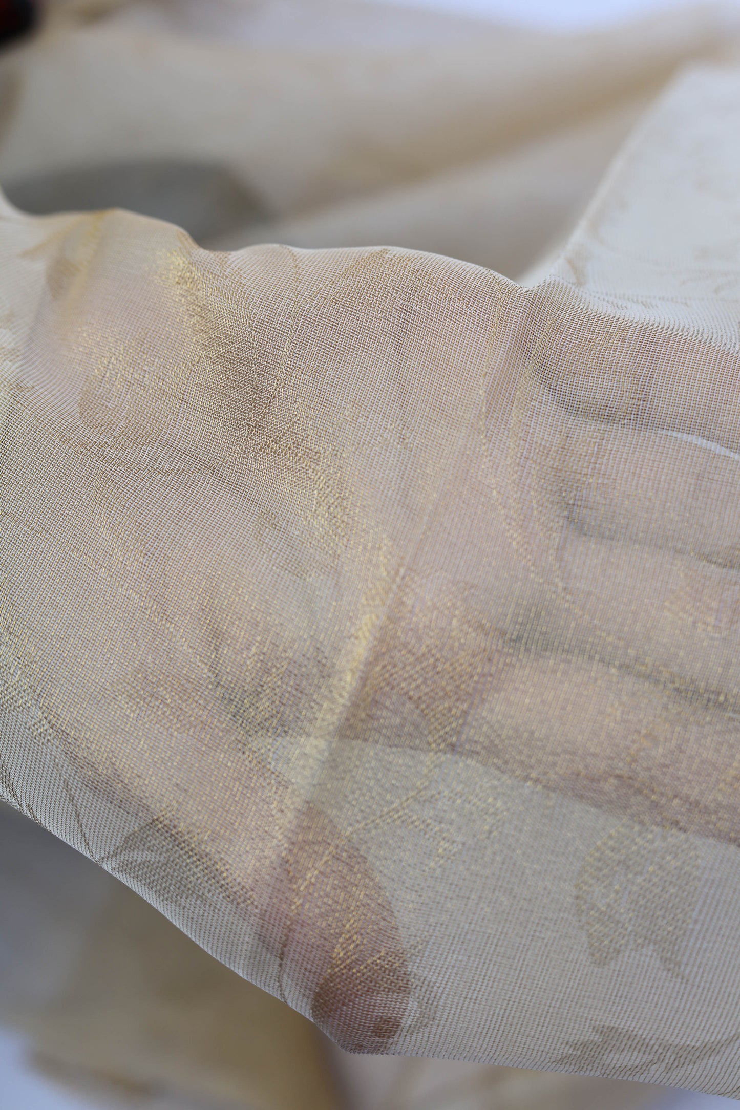 Pure Tissue Organza Fabric with Self Pattern and Delicate Floral Motif