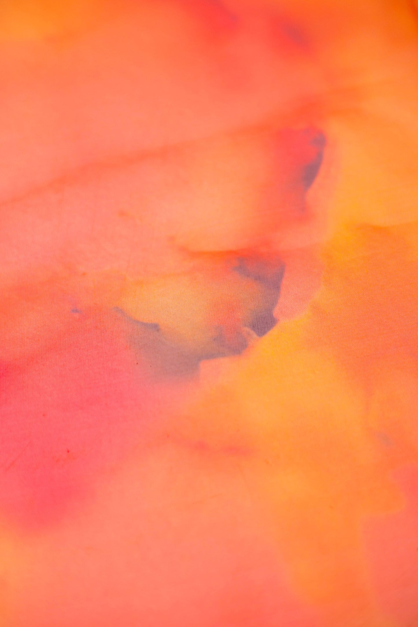 Sunset Scorch Organza Fabric