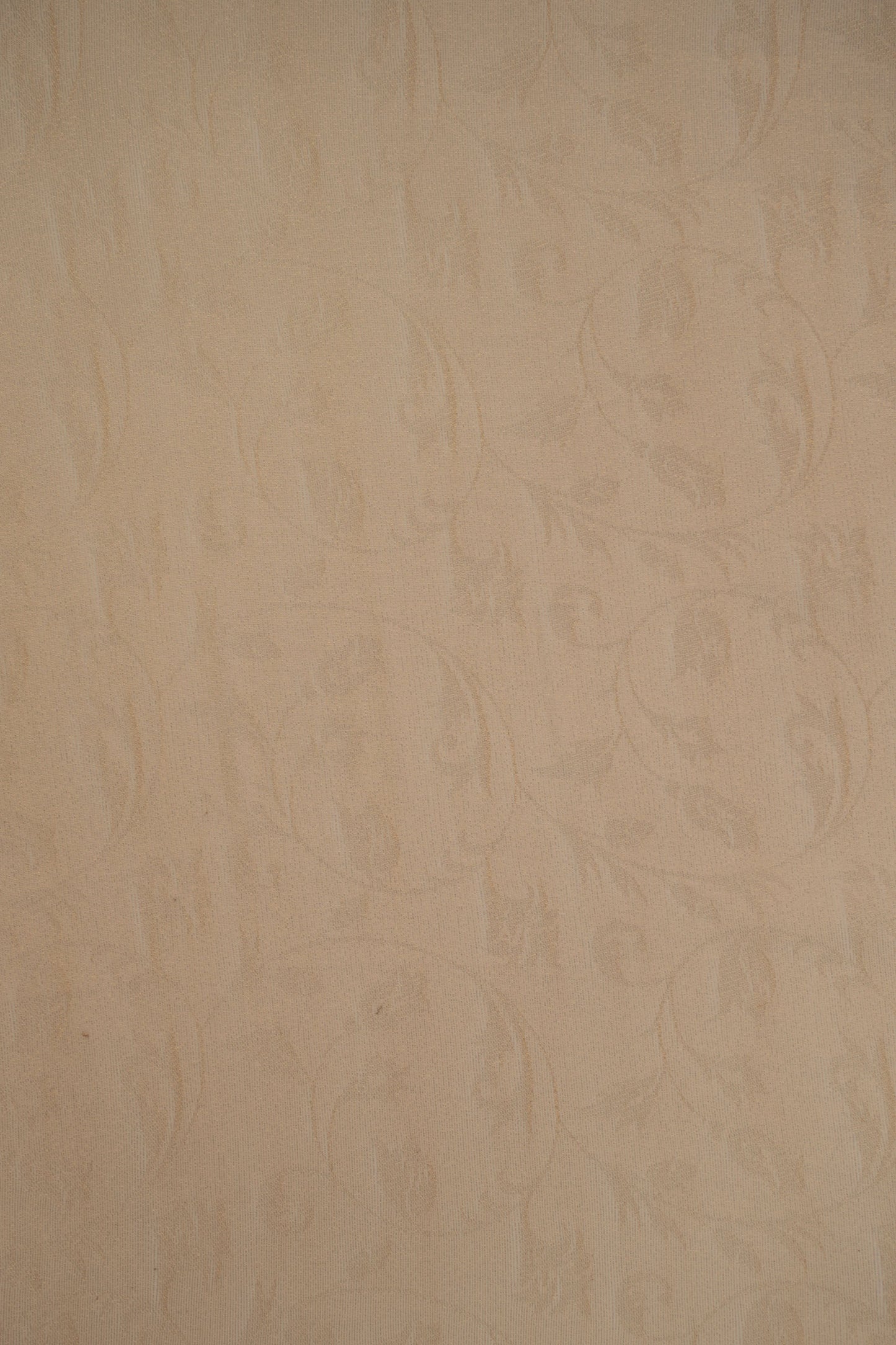 Pure Tissue Organza Fabric with Self Pattern and Delicate Floral Motif