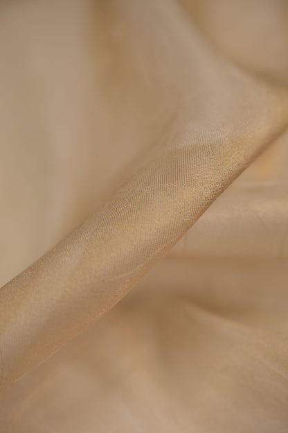 Pure Tissue Organza Fabric with Self Pattern and Delicate Floral Motif